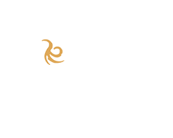 ONEK Logo